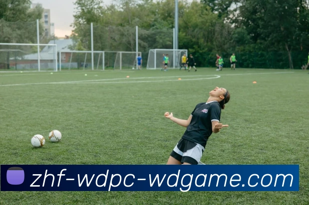 问鼎娱乐发展历程