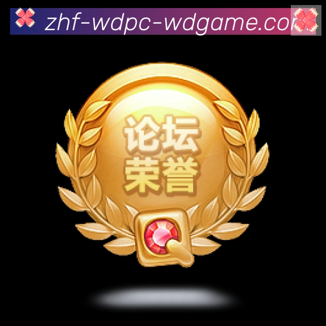 未来规划